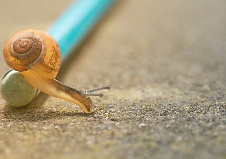 Working People too Slow